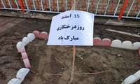 گرامیداشت روز درختکاری در شبکه بهداشت درگزین