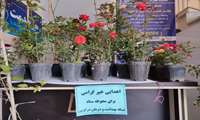 اهدای ۲۵ گلدان گل رز به شبکه بهداشت درگزین توسط خیر گرانقدر