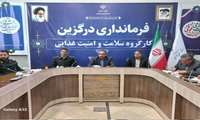 برگزاری چهارمین کارگاه سلامت امنیت غذایی شهرستان درگزین در سال 1403